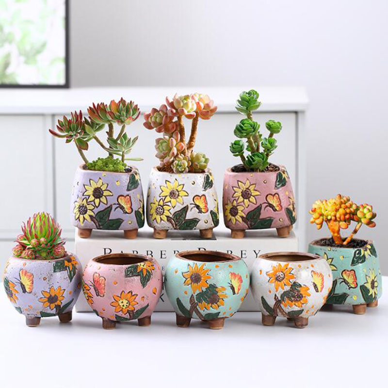 Echeveria Succulent - Donica na sukulenty w stylu koreańskim