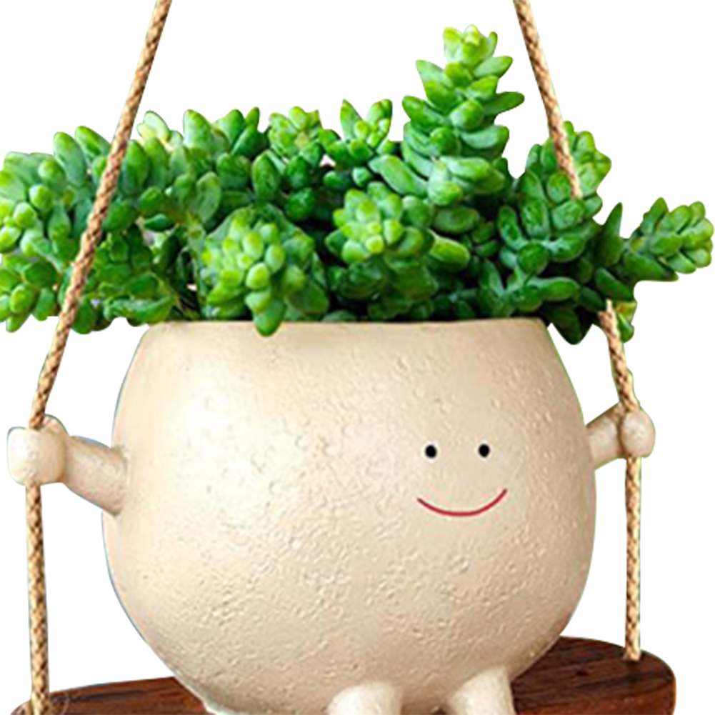 Wiszące kosze na rośliny Urocz – Echeveria Succulent recenzja i cena