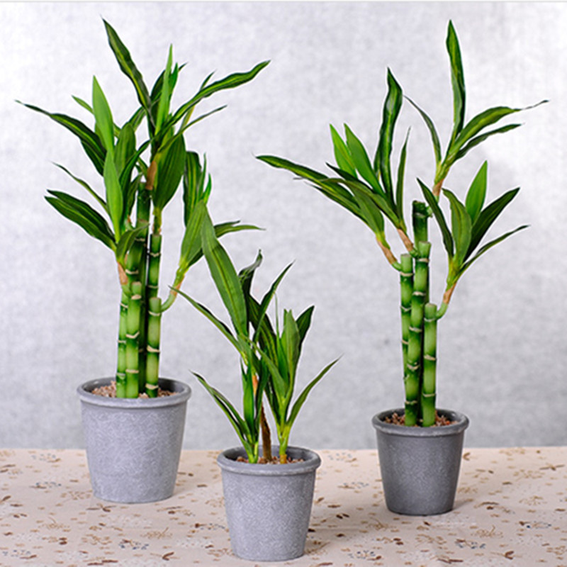 Nowy 40cm rFtificial Lucky Bam – Echeveria Succulent recenzja i cena