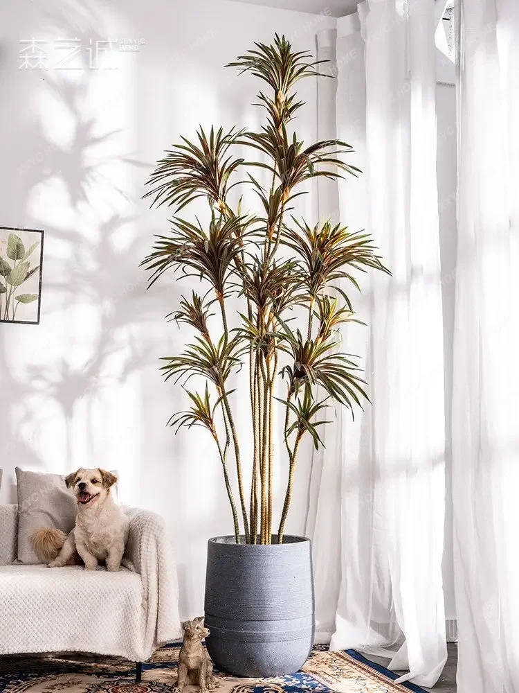Sztuczna dracena dracena margi – Dracaena Marginata recenzja i cena