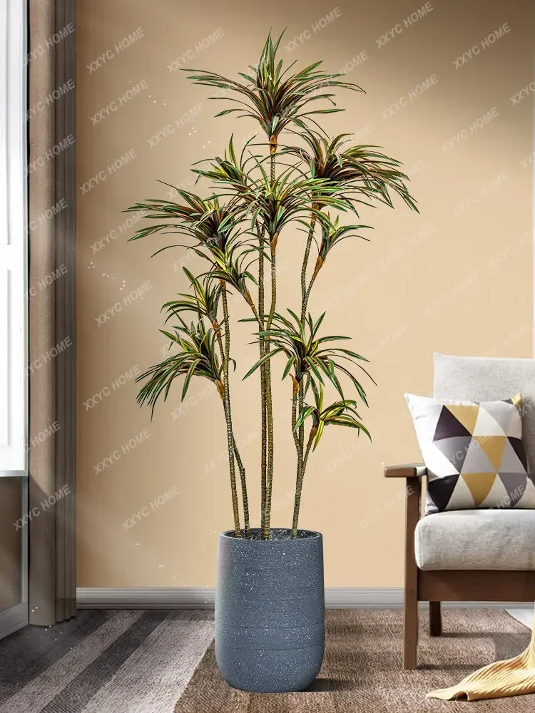 Sztuczna dracena dracena margi – Dracaena Marginata recenzja i cena