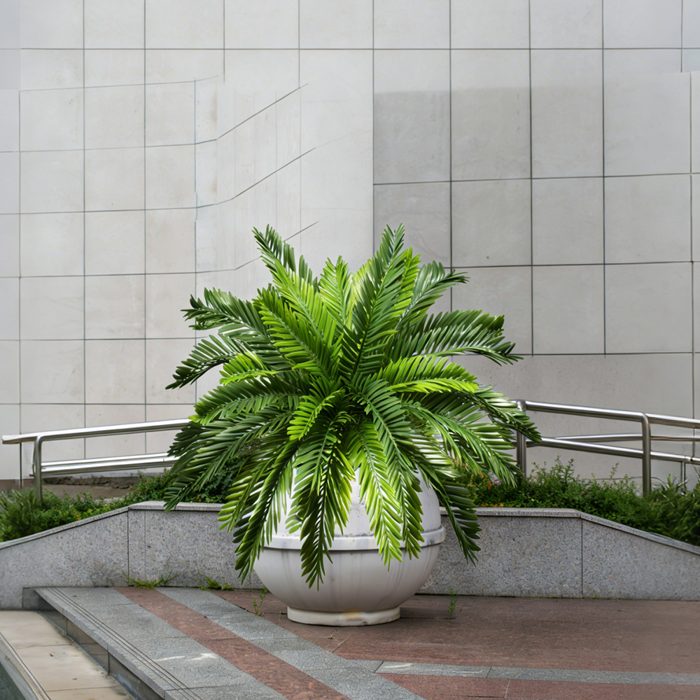 Sztuczne palmy 45 cm, sztuczne – Dracaena Marginata recenzja i cena