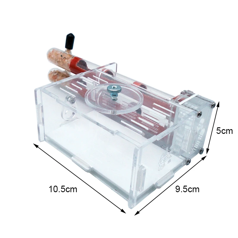 DIY Ant Farm 2 szt. 18-180 mm  – Begonia Rex recenzja i cena