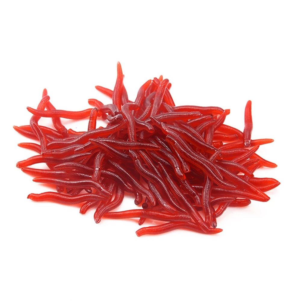 100 sztuk/butelka realistyczne – Aglaonema Red recenzja i cena