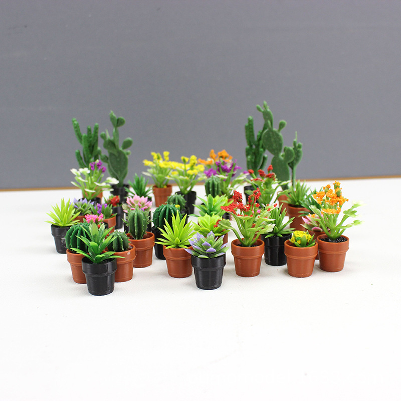Miniaturowe Symulowane Rośliny – Echeveria Succulent recenzja i cena