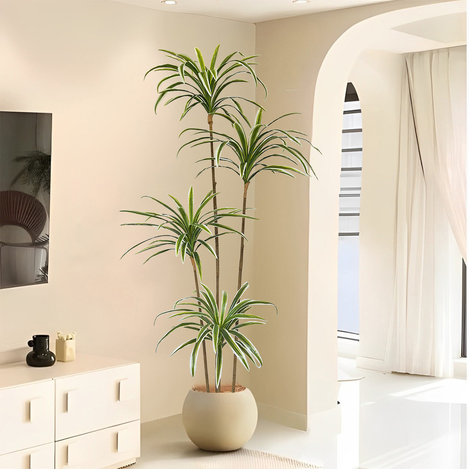 Sztuczna dracena marginałowa o – Dracaena Marginata recenzja i cena