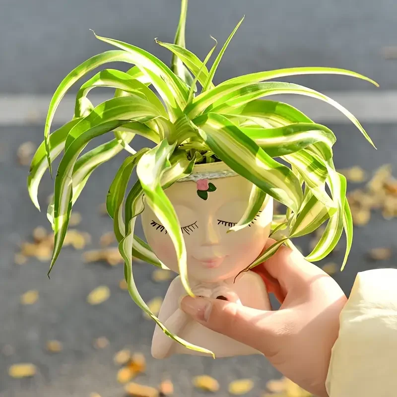 Doniczka na sukulenty z żywicy – Echeveria Succulent recenzja i cena